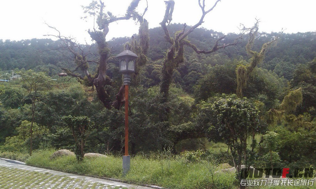 IMAG0081.jpg