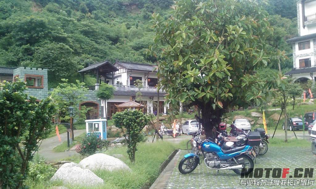 IMAG0083.jpg