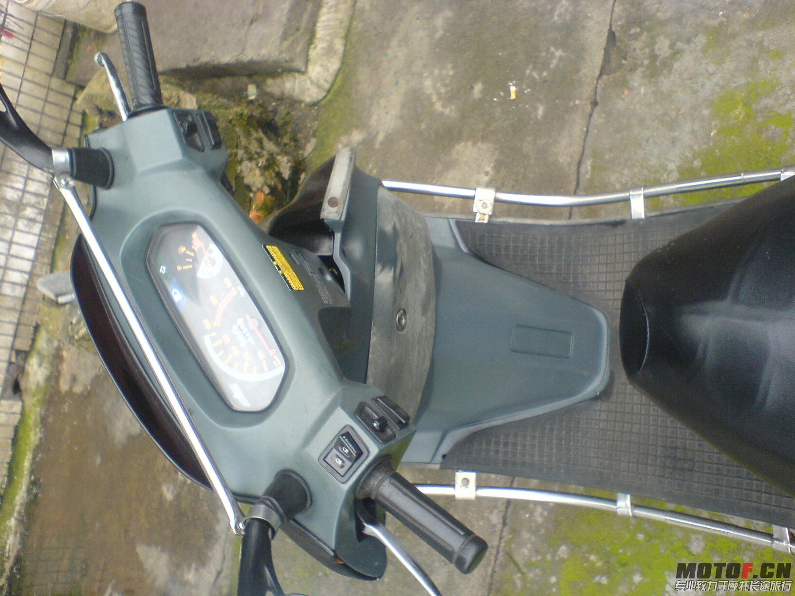DSC00445.JPG