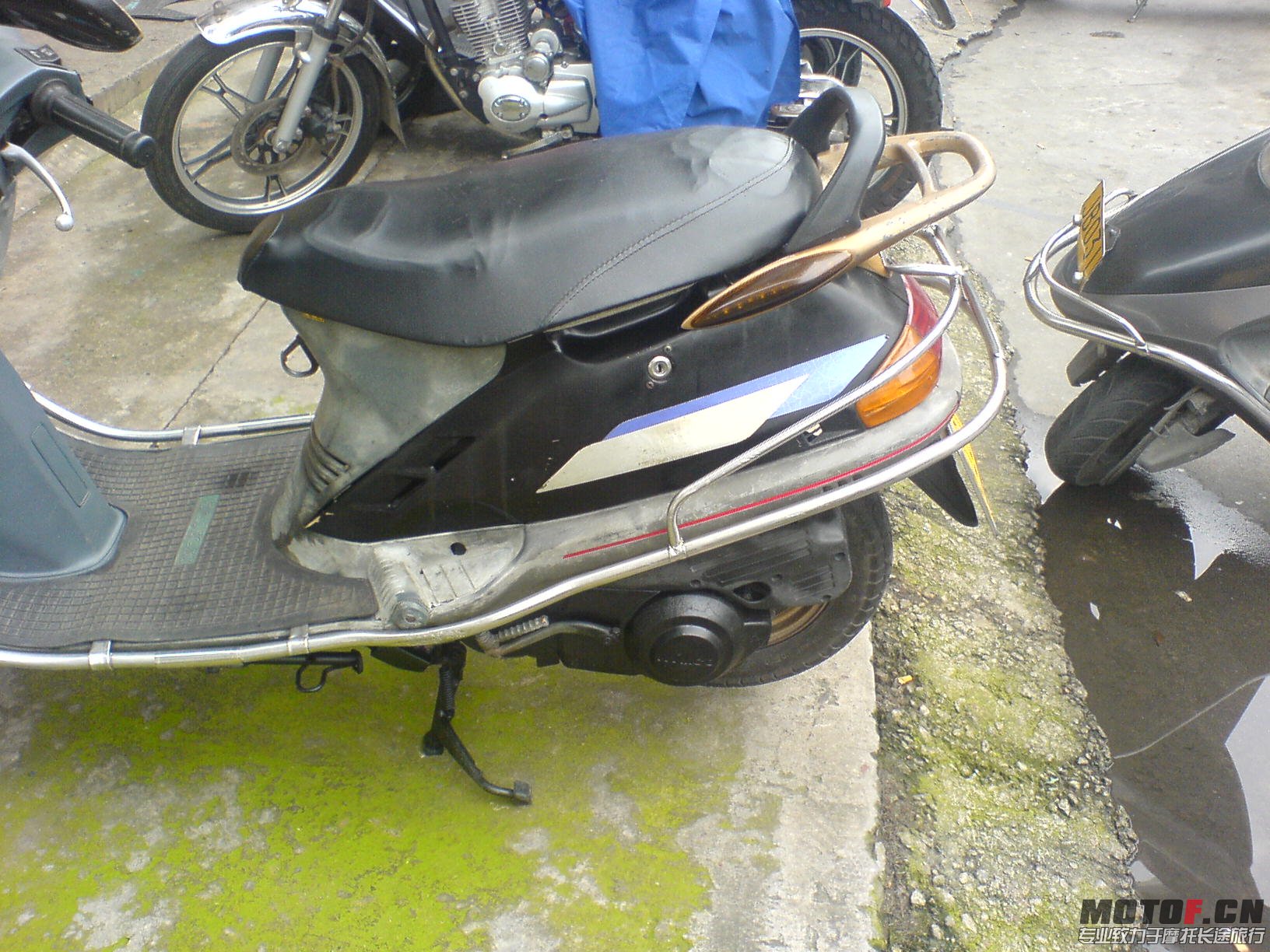 DSC00446.JPG