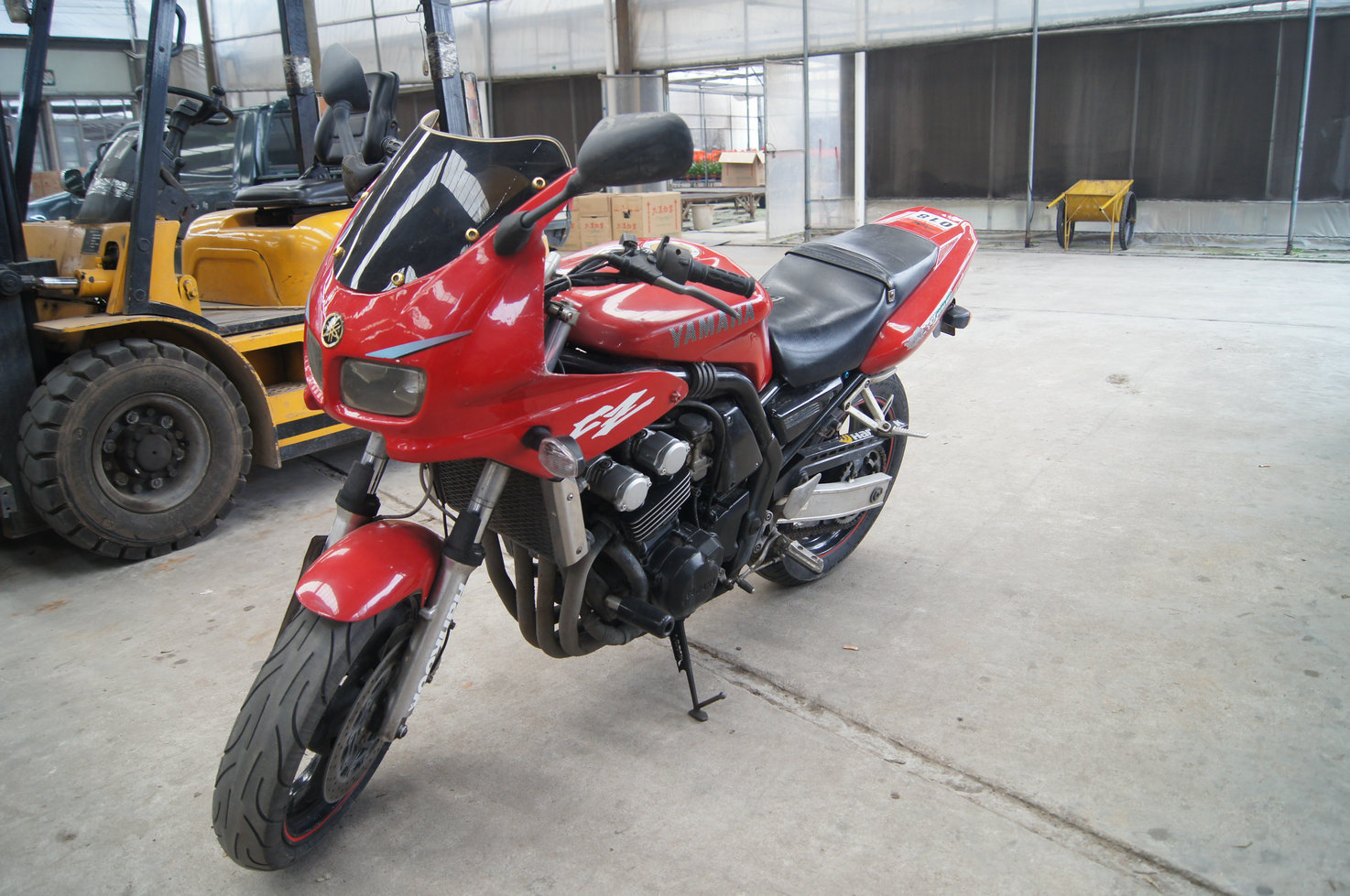 DSC08268.jpg