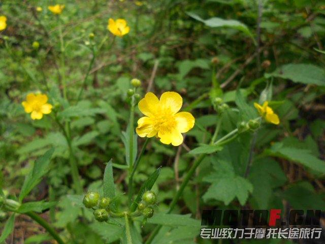 照片 365.jpg