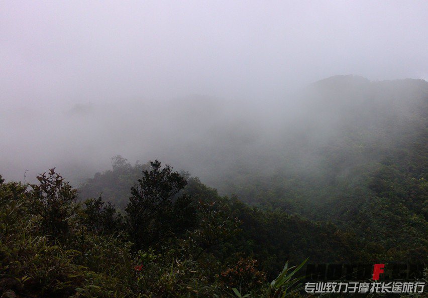 看到这样的风景可以不开心吗