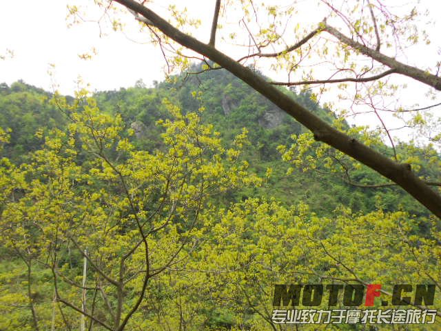 照片 380.jpg