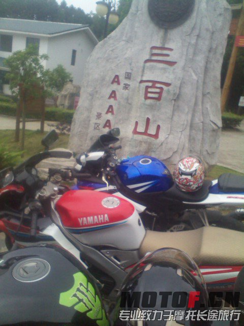 IMG_20130421_113024.jpg