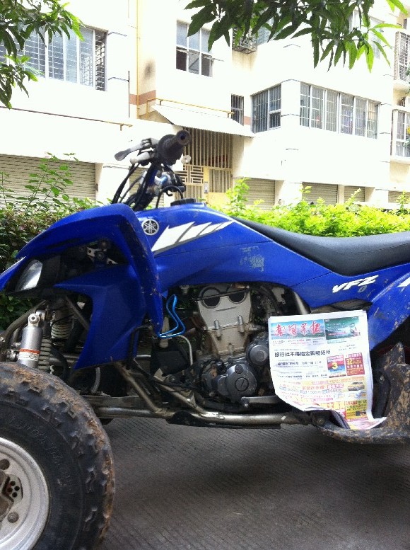 BigBull_照片 012.jpg