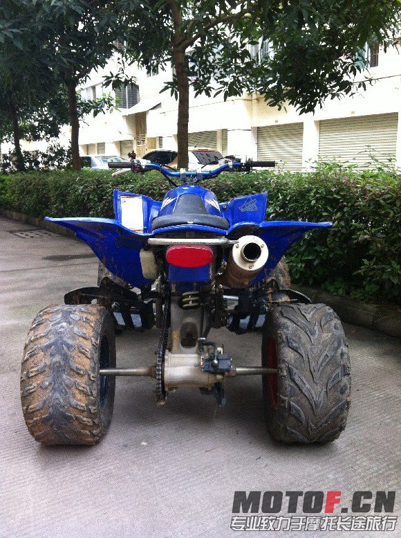 BigBull_照片 019.jpg