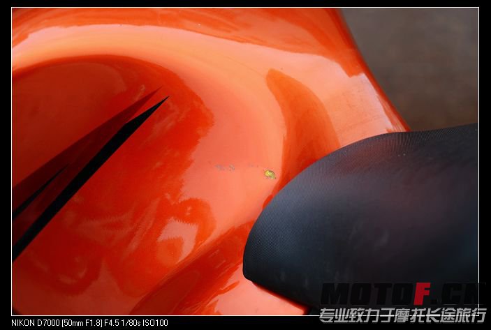 DSC_1167.jpg