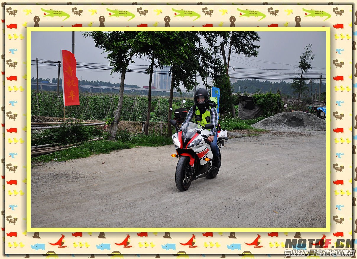 狼    09  R6