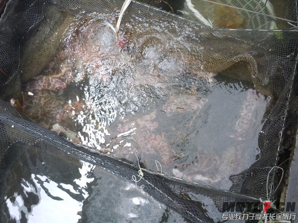 DSCN3601.JPG