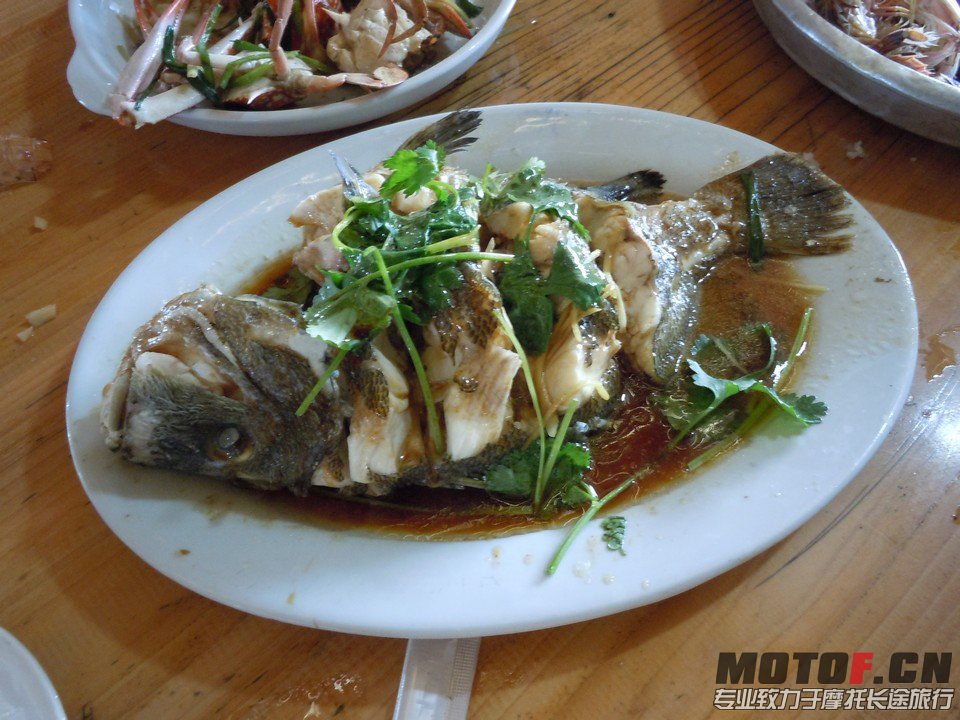 DSCN3609.JPG