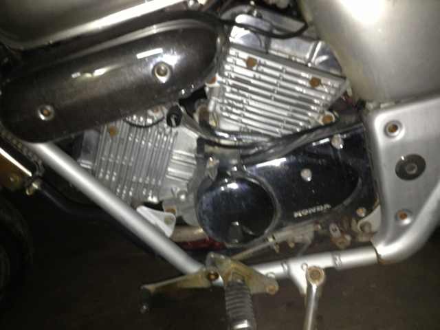 mmexport1367497720490.jpg