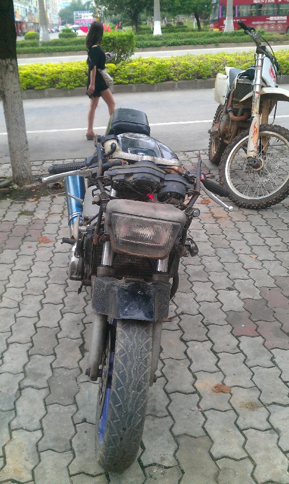 BigBull_IMAG1724.jpg