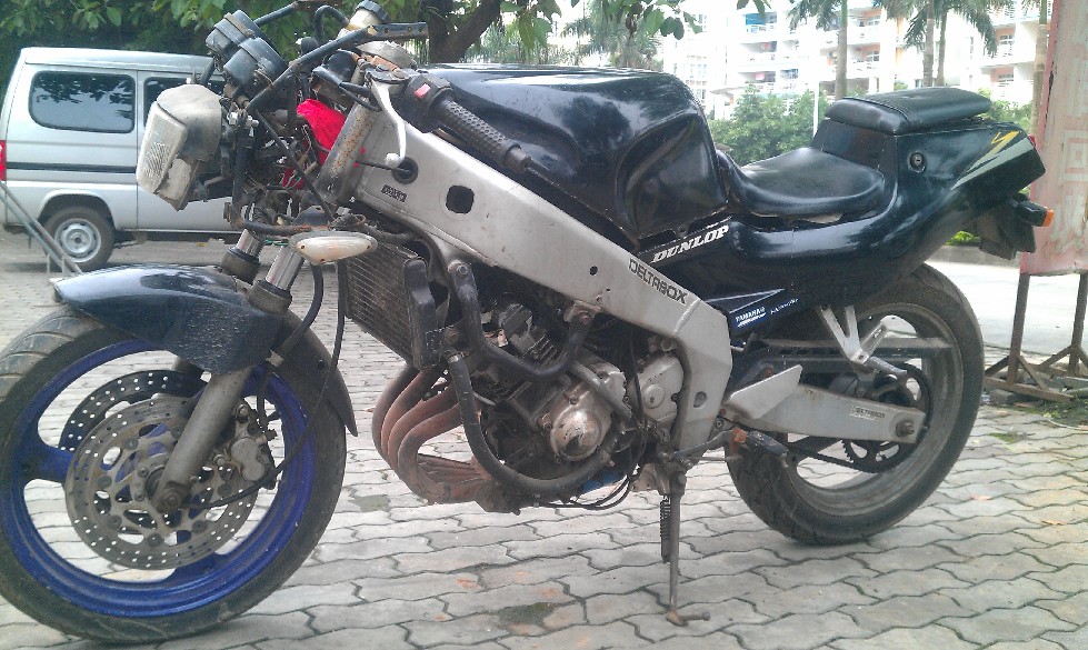 BigBull_IMAG1723.jpg