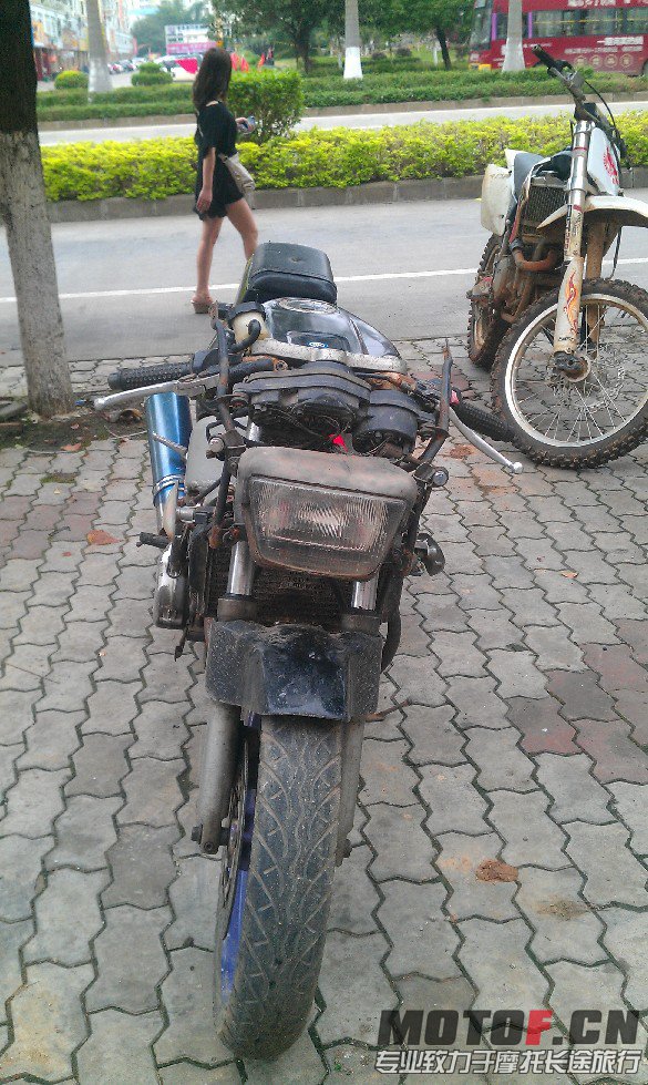 BigBull_IMAG1724.jpg
