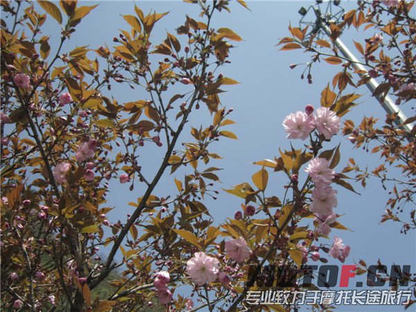 IMG_2881_副本.jpg