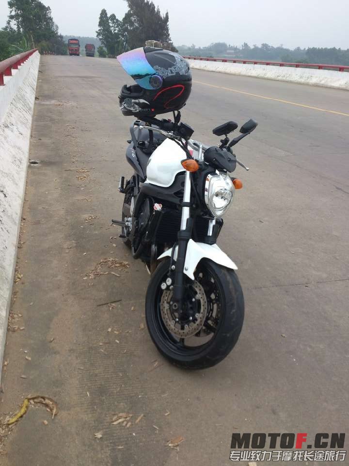 65.jpg