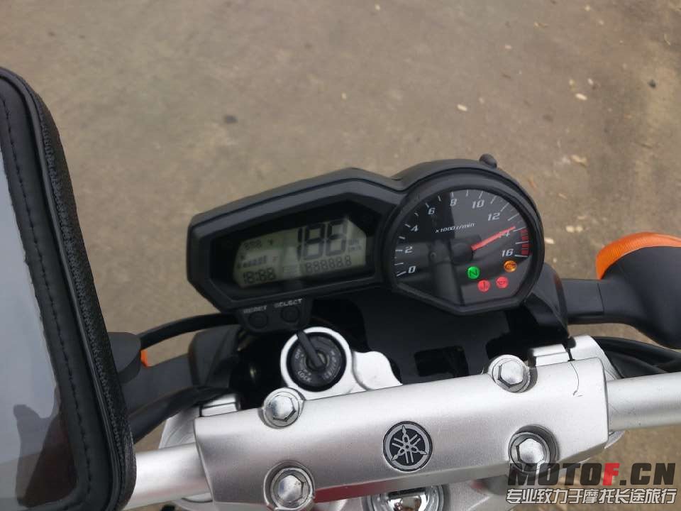233.jpg