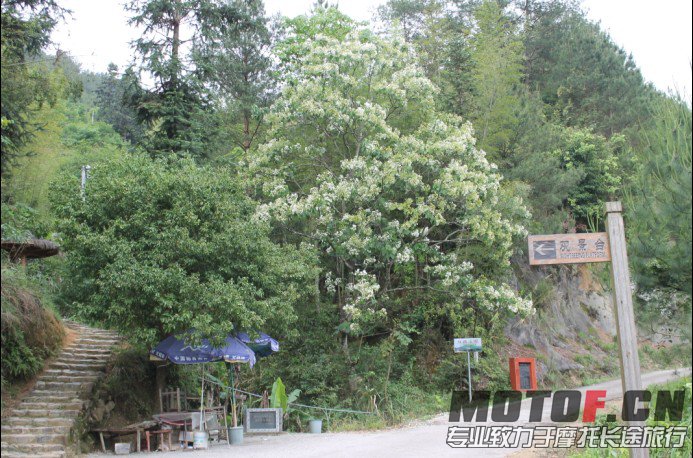 福建22.jpg