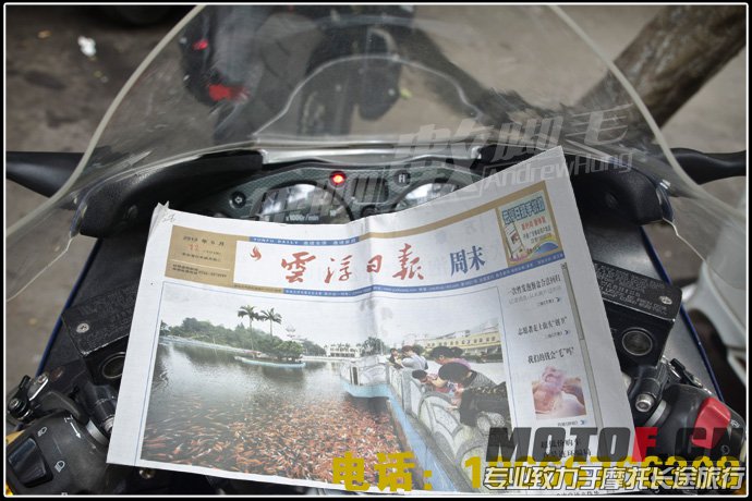 报刊（隼）.jpg