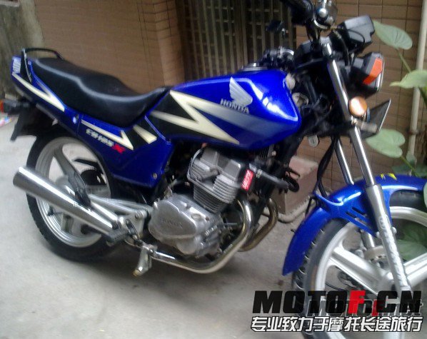 172845fltz4z54frwissgx.jpg