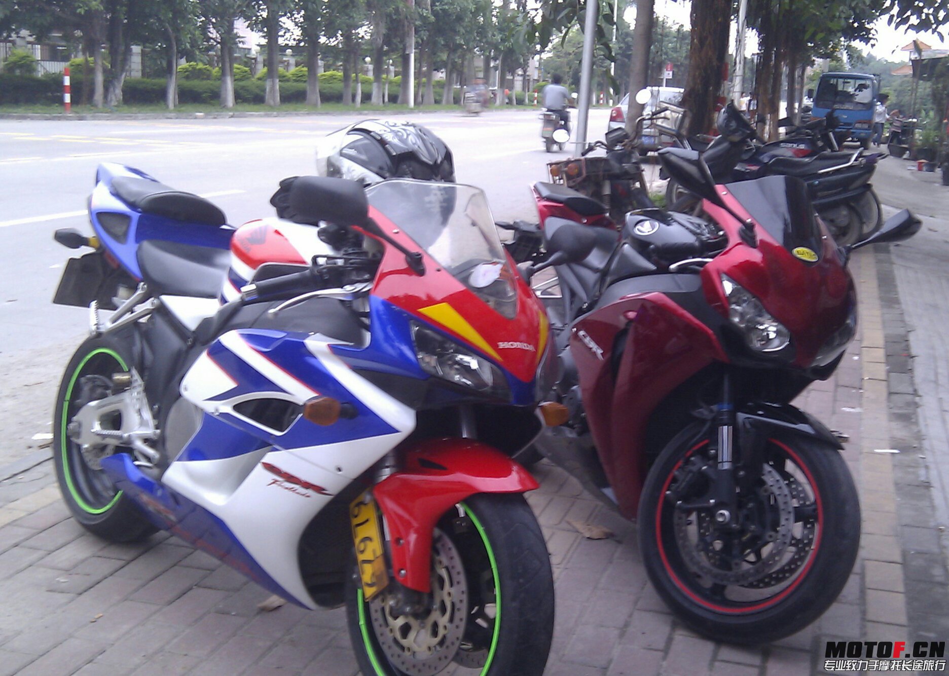 IMAG0744~01.jpg