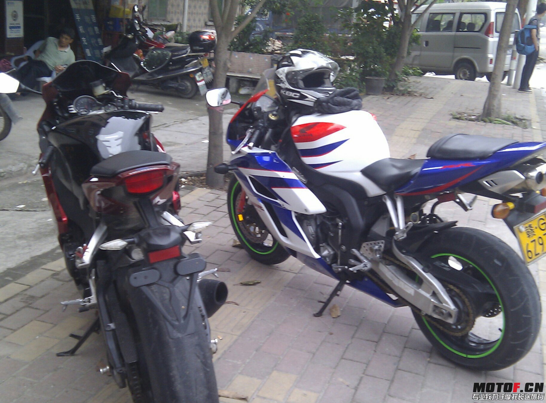 IMAG0746~01.jpg