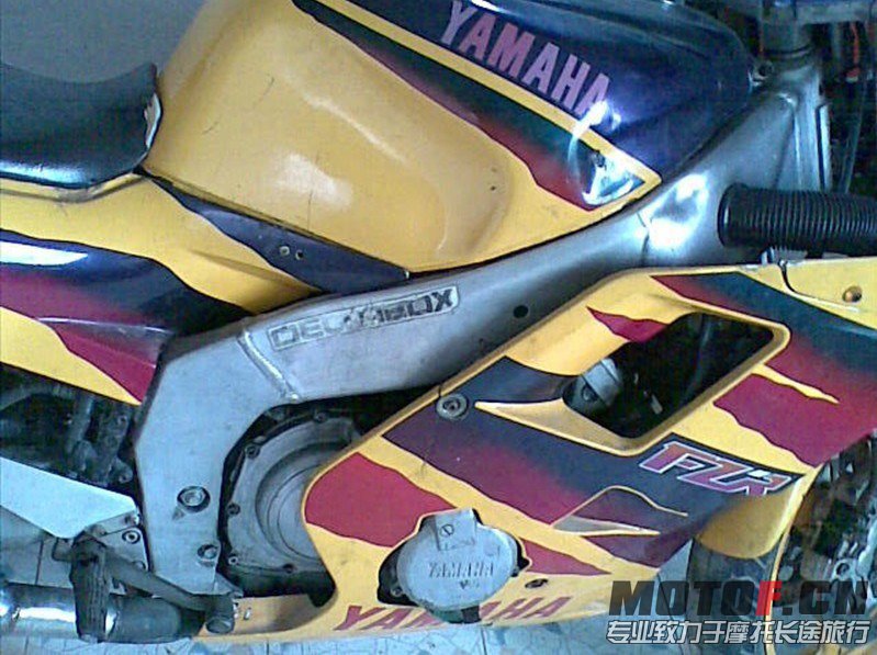 TIMG_390627509.33185.JPG
