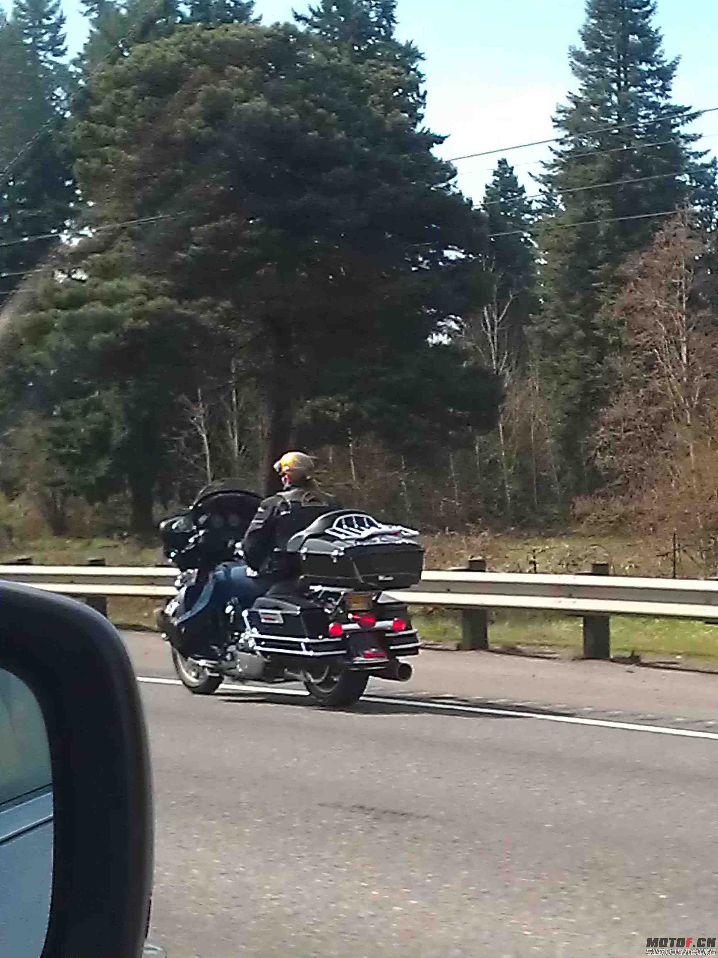IMAG0140.jpg