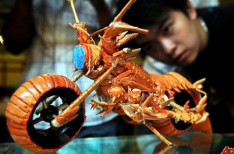 lobster-motorcycle-4.jpg