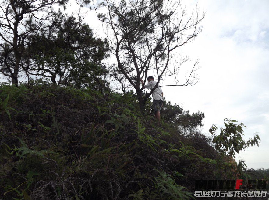 QQ图片20130530110909.jpg