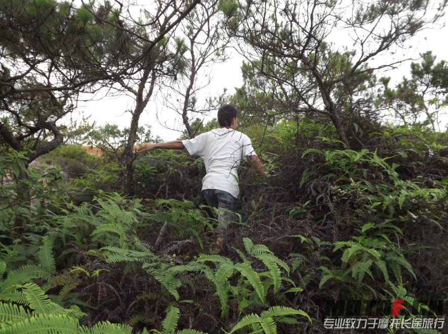 QQ图片20130530110924.jpg