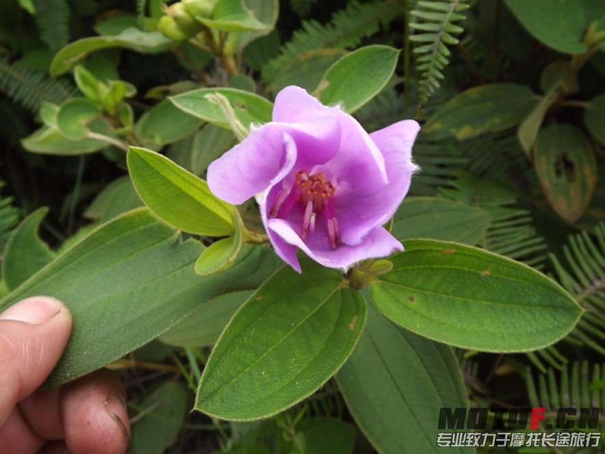 QQ图片20130530111116.jpg