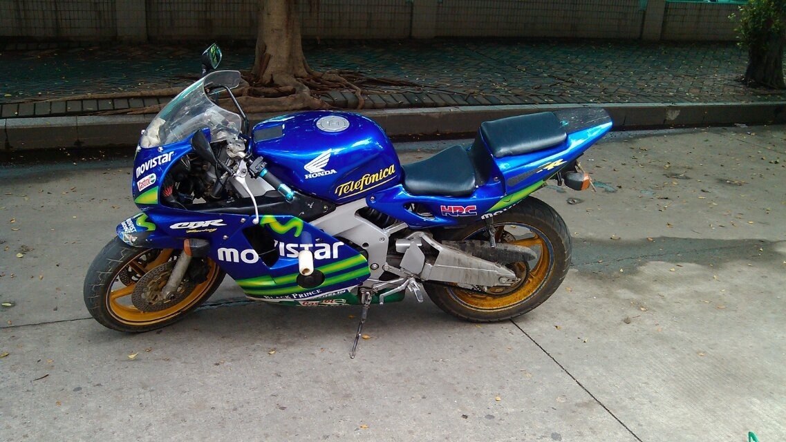 TIMG_392121645.33399.JPG