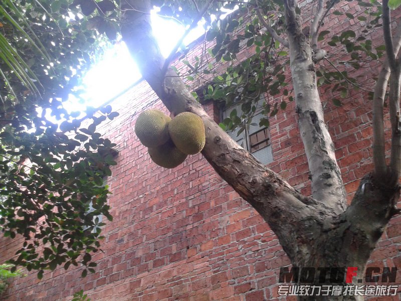 20130609_162415_调整大小.jpg