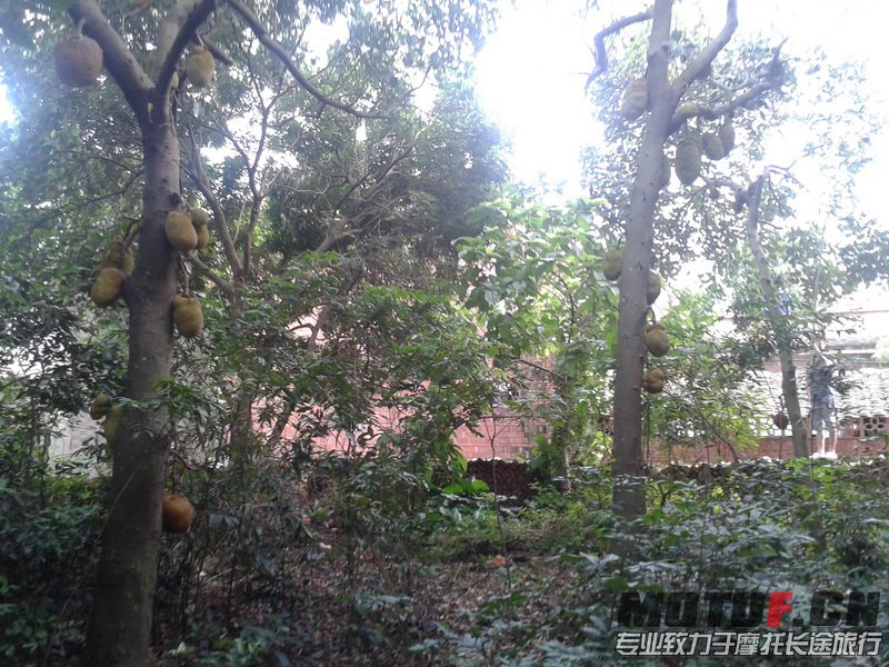 20130609_162501_调整大小.jpg