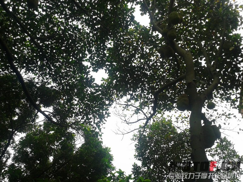 20130609_162525_调整大小.jpg