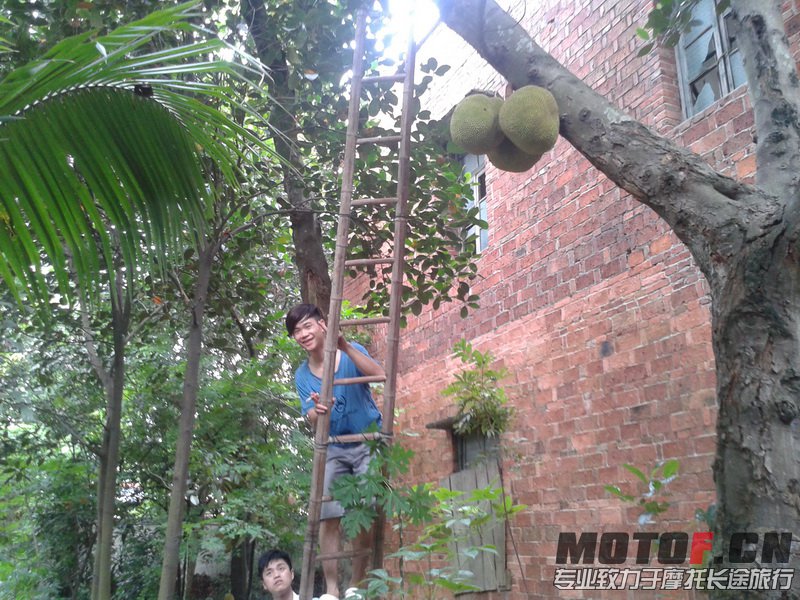 20130609_163057_调整大小.jpg