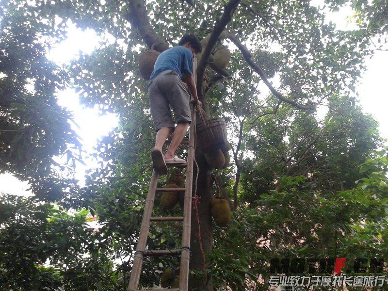 20130609_163401_调整大小.jpg