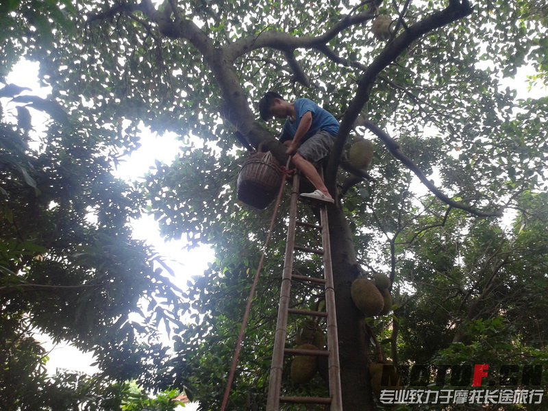 20130609_163456_调整大小.jpg