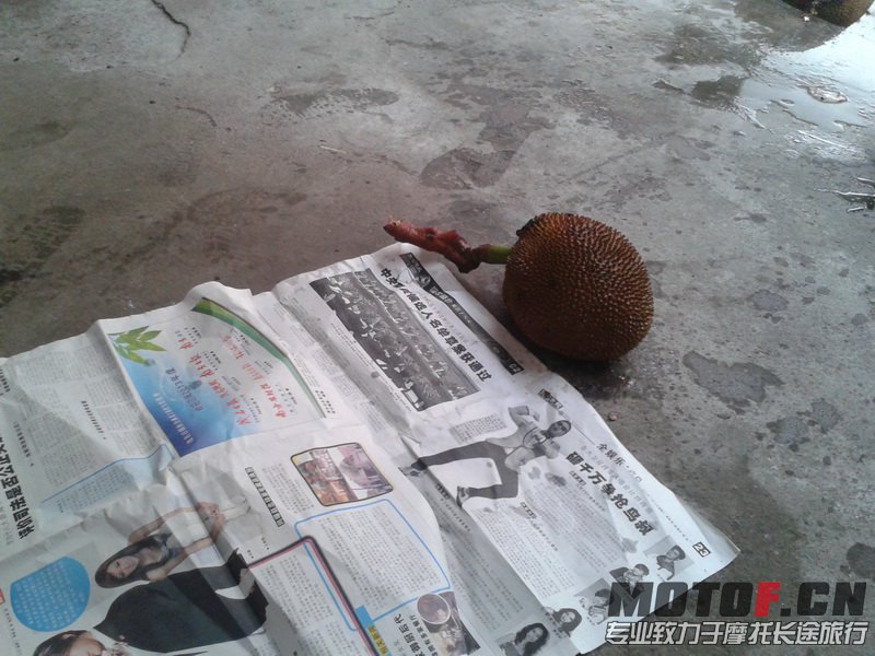 20130609_164433_调整大小.jpg