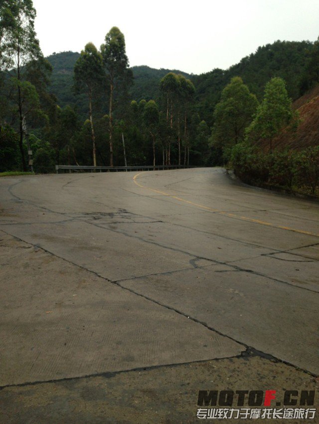010.jpg