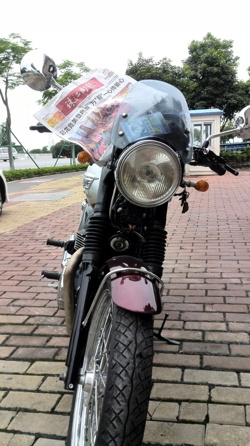 IMG_20130611_153626.jpg