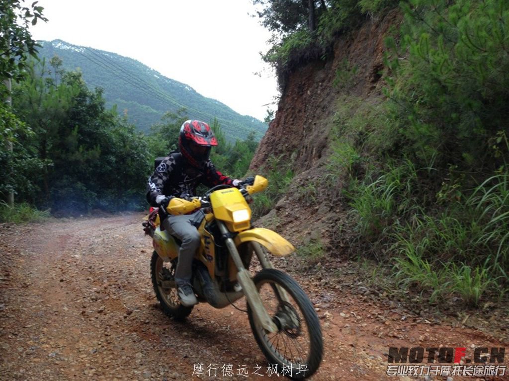 望埠枫树坪79.jpg