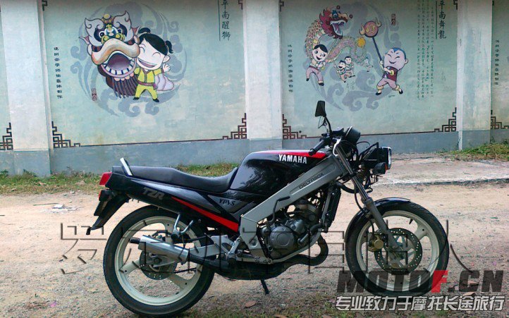 T仔001.jpg