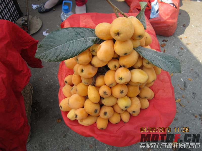 10元一斤的枇杷