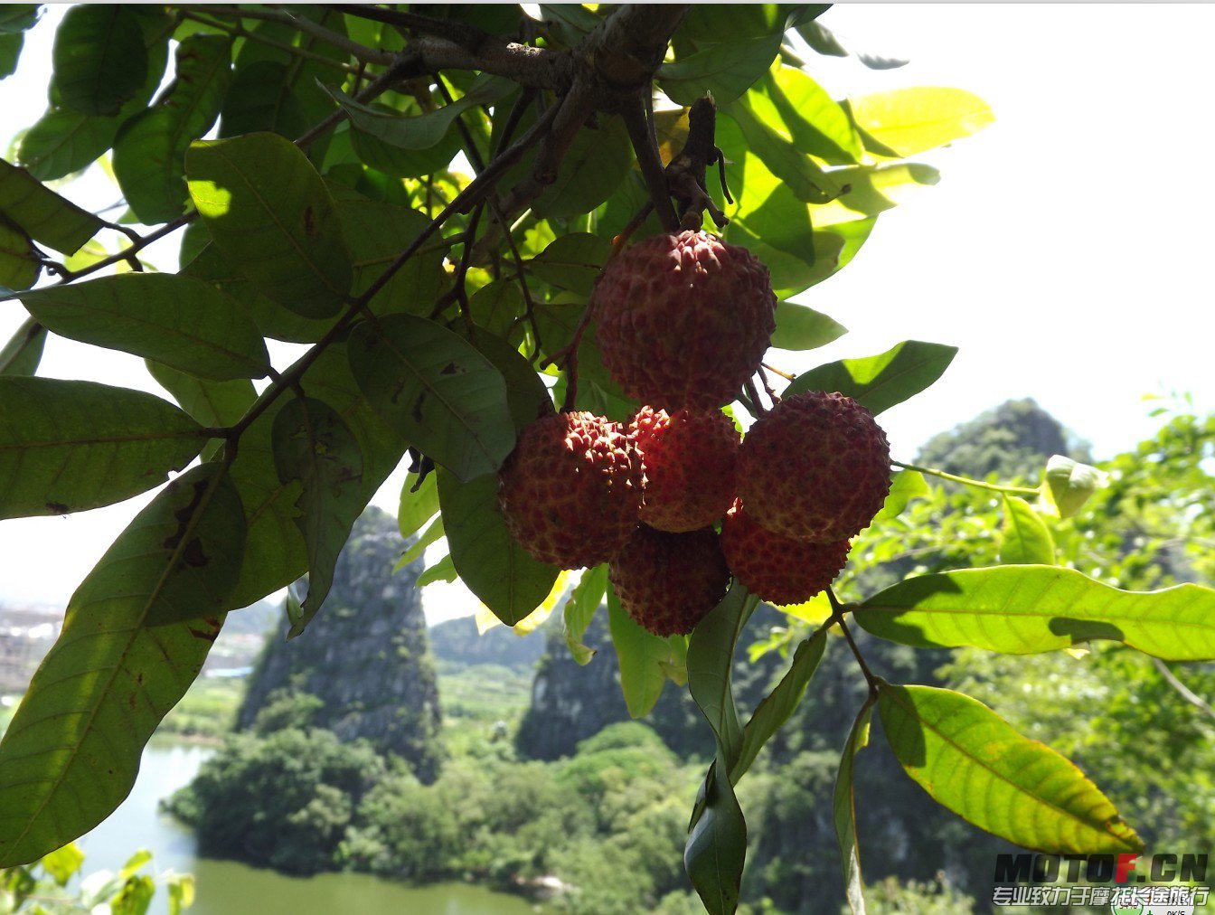 QQ图片20130620091751.jpg
