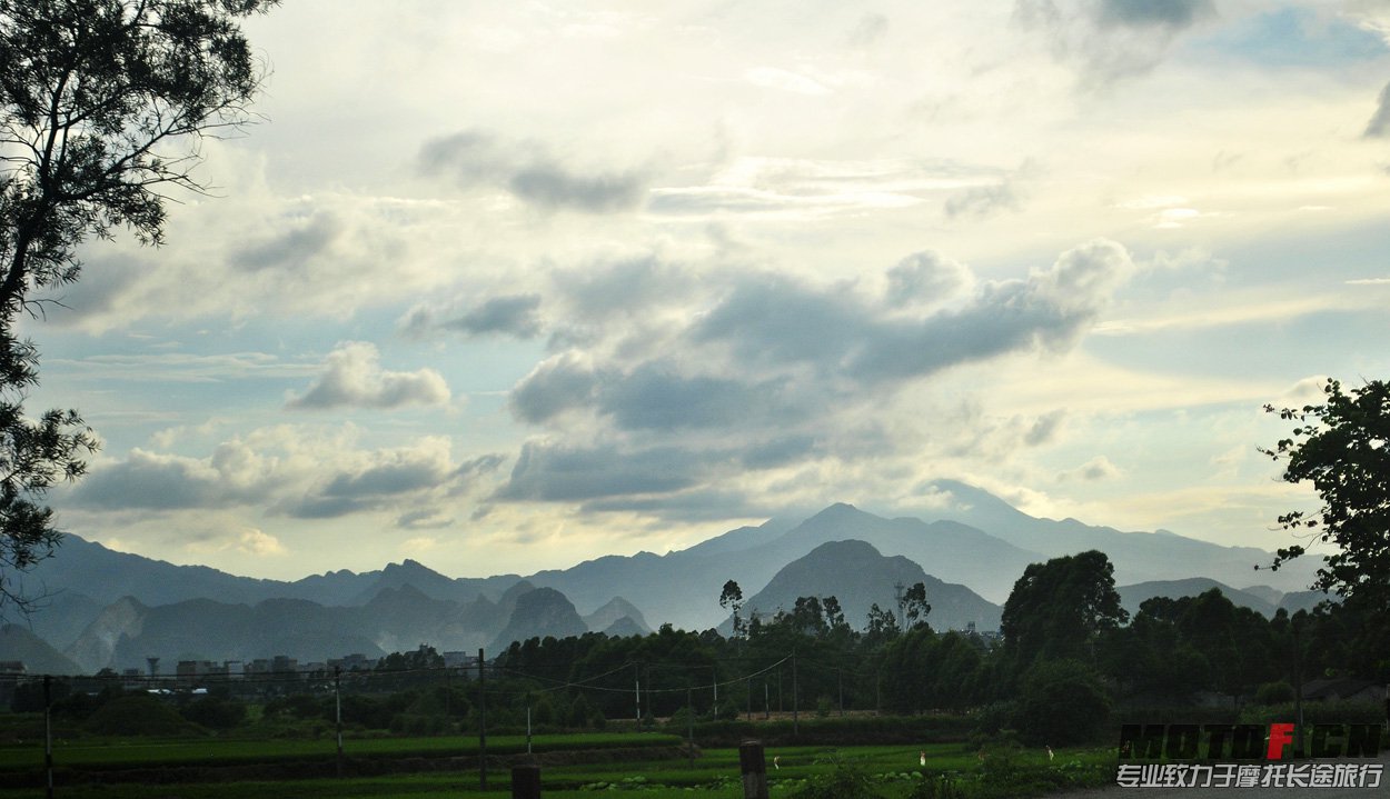 _DSC0331.jpg