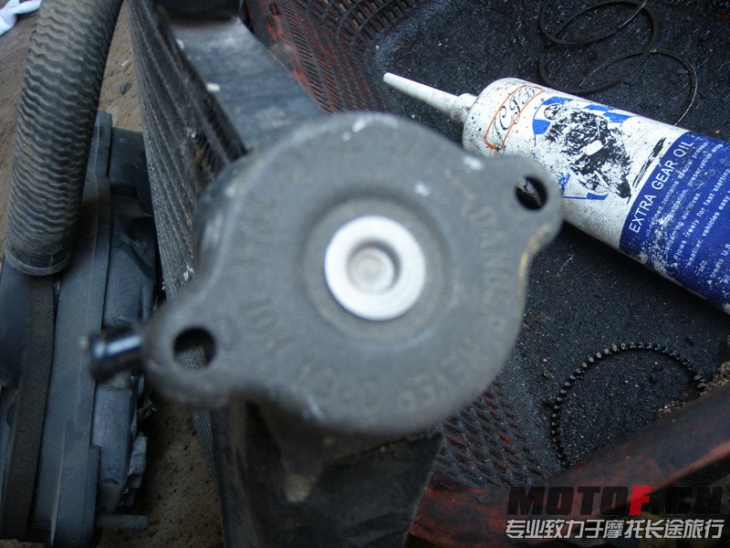 P6209572_副本.jpg