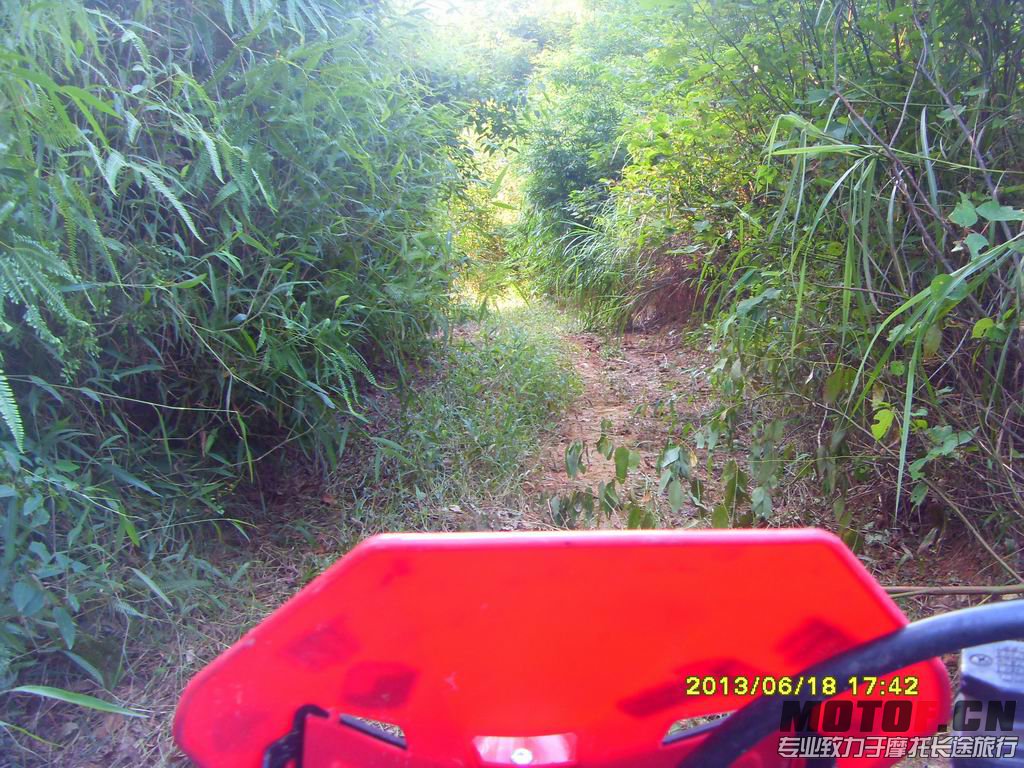 SDC13763.JPG
